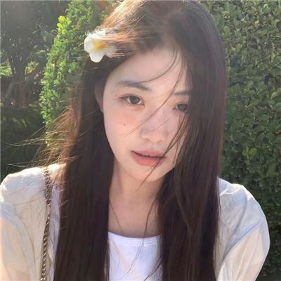 春满凤城